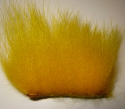 polar bear yellow standart
